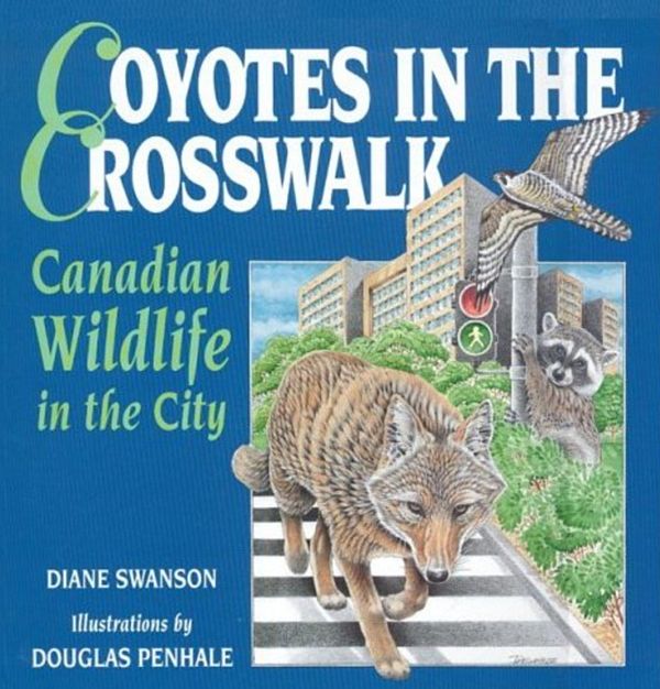 Coyotes in the Crosswalk