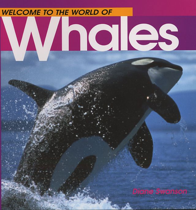 Welcome to the World of Whales
