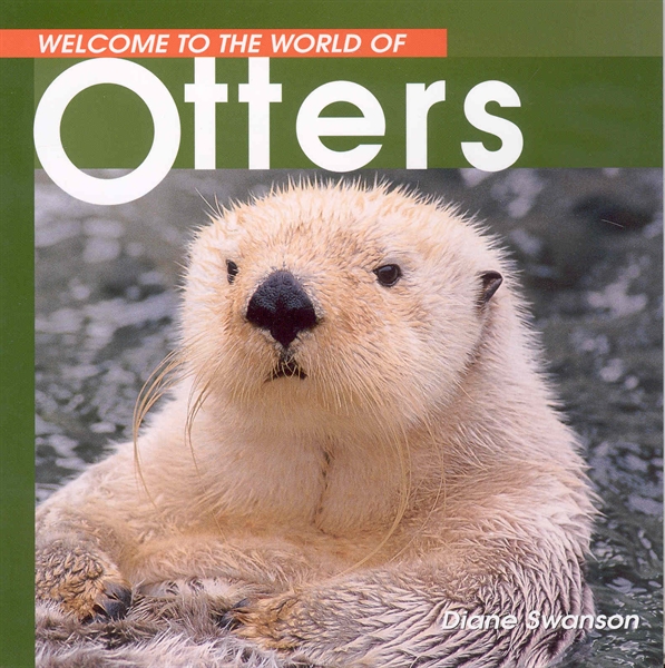 Welcome to the World of Otters