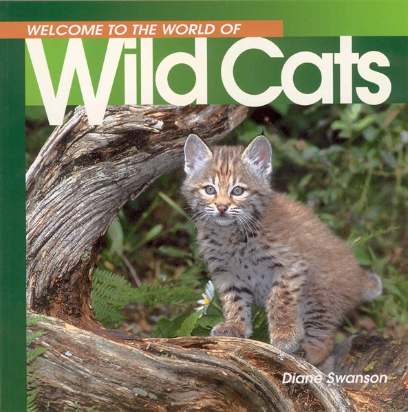 Welcome to the World of Wild Cats
