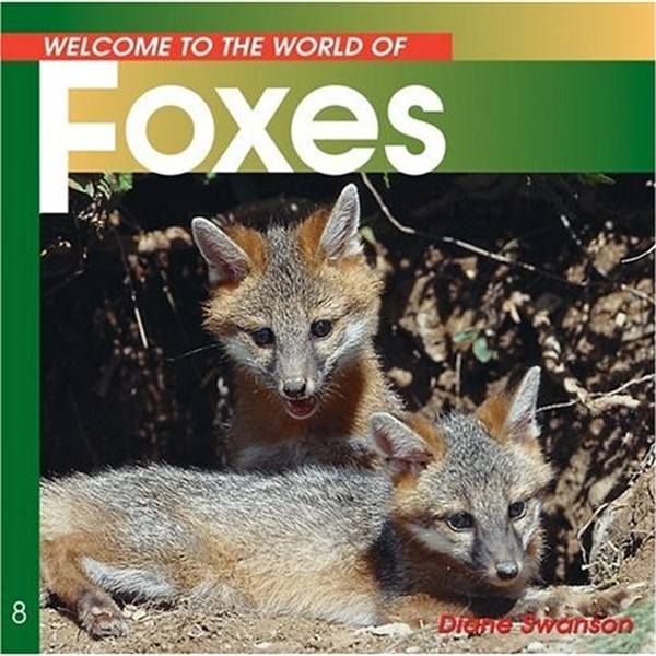 Welcome to the World of Foxes