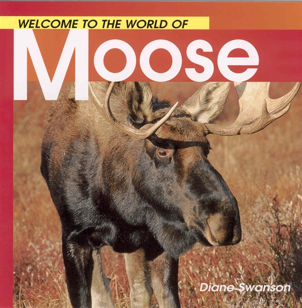 Welcome to the World of Moose