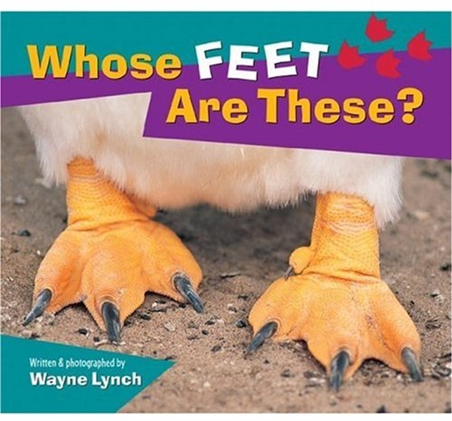 Whose Feet Are These?