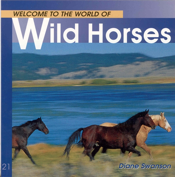 Welcome To The World Of Wild Horses