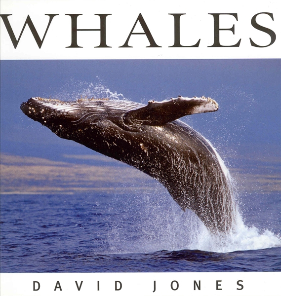 Whales