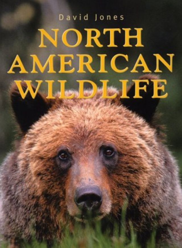 North American Wildlife