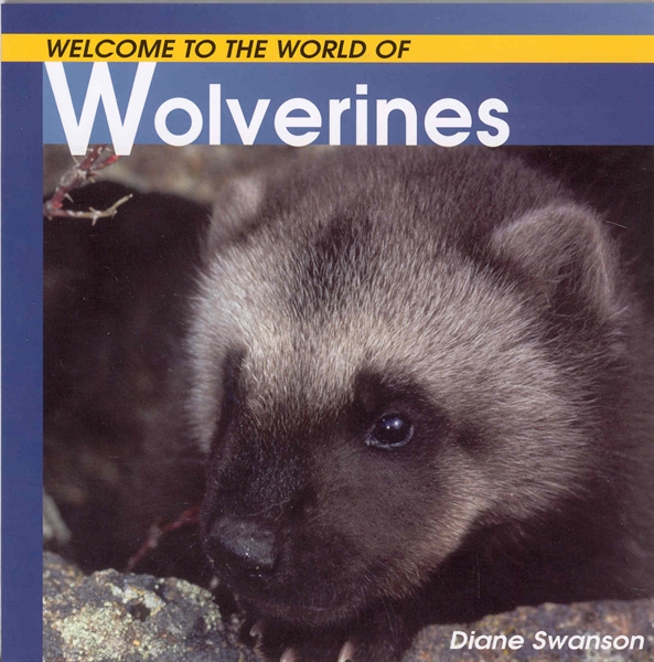 Welcome to the World of Wolverines