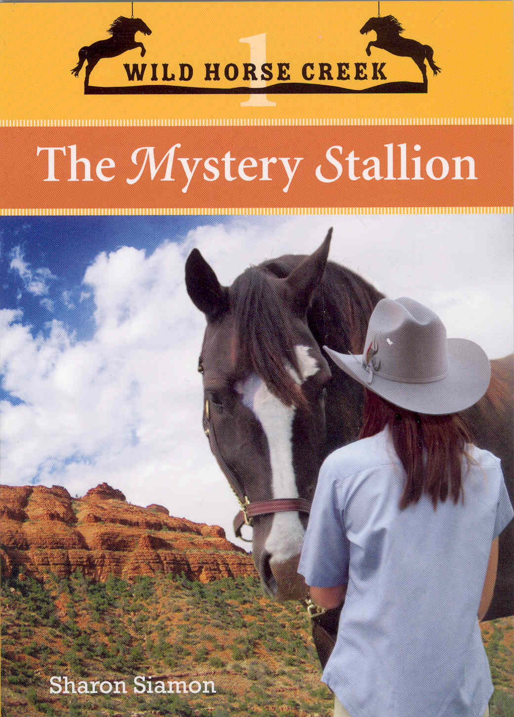 Mystery Stallion