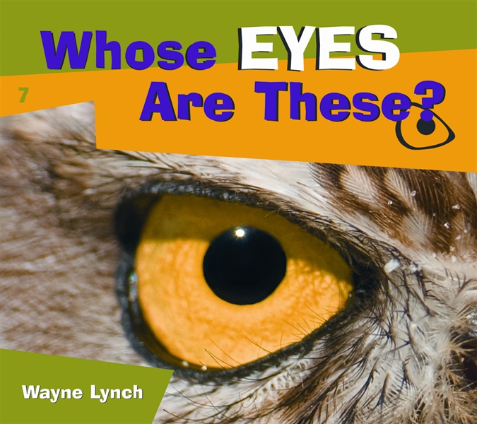 Whose Eyes are These?